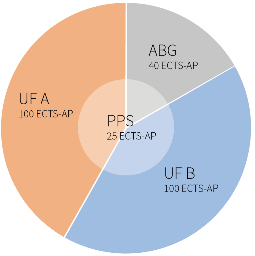 Kreisdiagramm der ECTS im Bachelorstudium